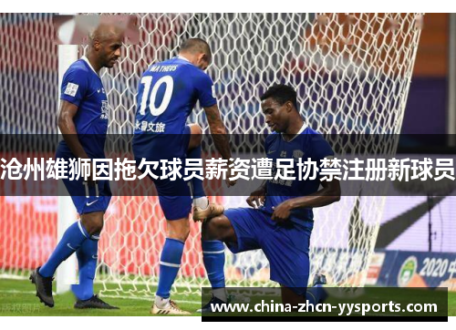 沧州雄狮因拖欠球员薪资遭足协禁注册新球员 沧州雄狮因拖欠球员薪资遭足协禁注册新球员